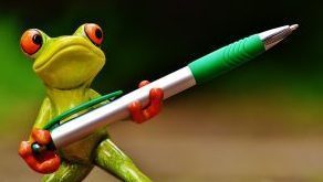 grenouille-stylo-300x199.jpg